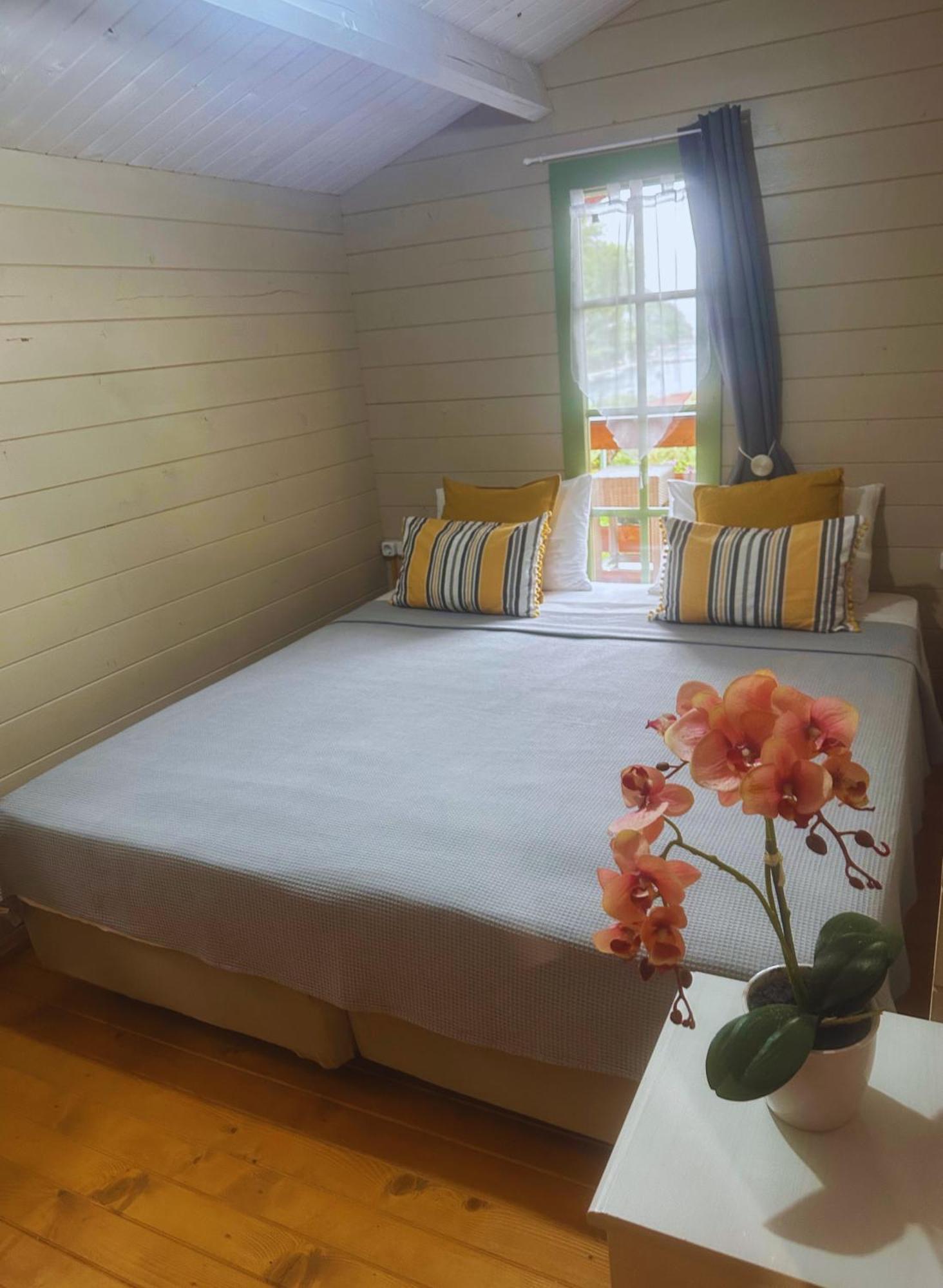 Metaxaki Villa Mikros Gialos Dış mekan fotoğraf